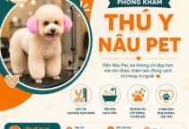 Vì Sao Nên Mua Thức Ăn Và Phụ Kiện Tại Cửa Hàng Thú Cưng Uy Tín?