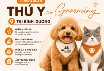 Phòng Khám Thú Y Có Grooming Tại Bình Dương – Xu Hướng Chăm Sóc Thú Cưng Hiện Đại