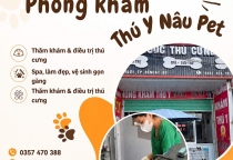 Khám Và Tư Vấn Sức Khỏe Thú Cưng – Việc Làm Cần Thiết Để Bảo Vệ Chó Mèo Mỗi Ngày
