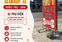 Cắt Tỉa Có Giúp Giảm Nóng Cho Chó Mèo Không? Những Điều Chủ Nuôi Cần Biết