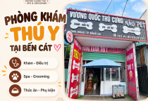 Spa Thú Cưng Tại Bến Cát: Những Dịch Vụ Chăm Sóc Boss Nên Biết