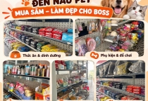 Mua Sắm Cho Bé Yêu Cuối Tuần: Thức Ăn, Phụ Kiện Và Sản Phẩm Chăm Sóc Tại Nâu Pet