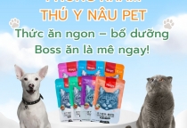 Thức ăn thú cưng – yếu tố quan trọng cho sức khỏe Boss yêu