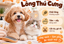 Chăm Sóc Lông Thú Cưng Đúng Cách: Những Điều Sen Nên Biết