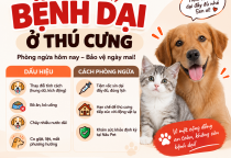 Bệnh Dại Ở Thú Cưng: Dấu Hiệu, Mức Độ Nguy Hiểm Và Cách Phòng Ngừa