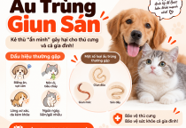 Ấu Trùng Giun Sán Ở Chó Mèo: Nguy Cơ Sức Khỏe Và Cách Phòng Ngừa