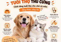 Tuổi Thọ Thú Cưng: Cách Tăng Tuổi Thọ Cho Chó Và Mèo Sống Khỏe, Sống Lâu