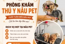 Cuối Tuần Tri Ân Khách Hàng – Nâu Pet Xin Gửi Lời Cảm Ơn Chân Thành