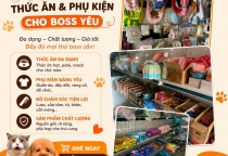 Cửa Hàng Bán Phụ Kiện, Thức Ăn Thú Cưng Giá Rẻ Tại Bình Dương