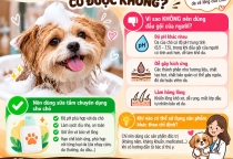Tắm Cho Chó Bằng Dầu Gội Của Người Có Được Không?